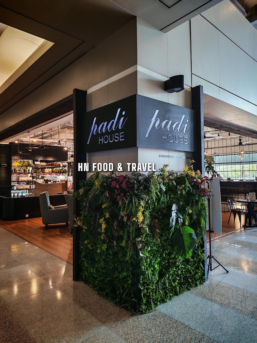 Padi House Galeria Pjh